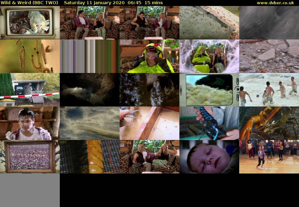 Wild & Weird (BBC TWO) Saturday 11 January 2020 06:45 - 07:00