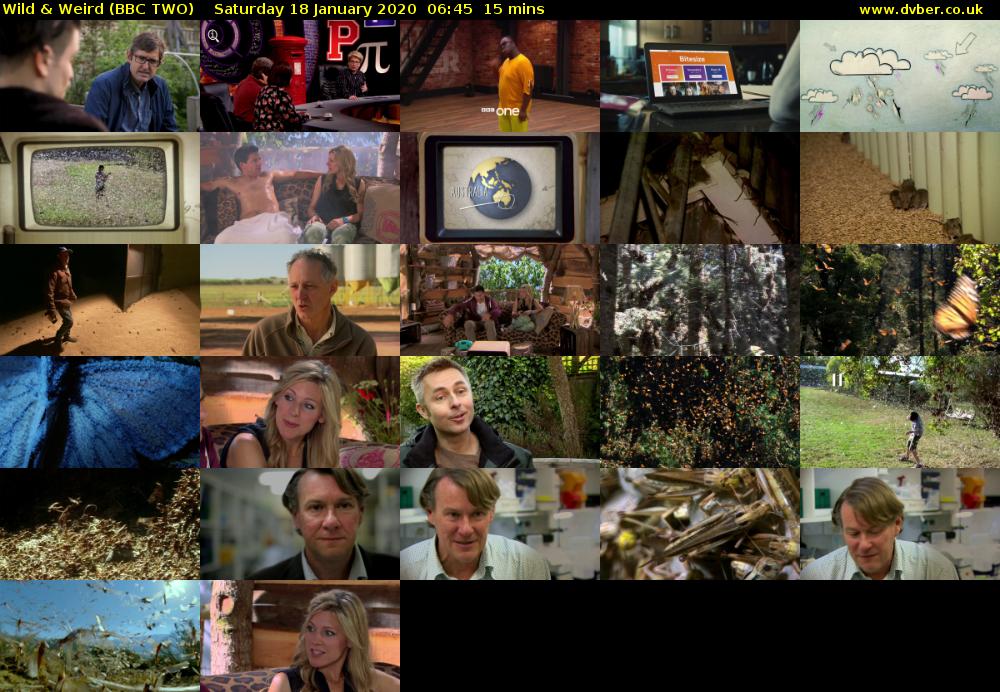 Wild & Weird (BBC TWO) Saturday 18 January 2020 06:45 - 07:00