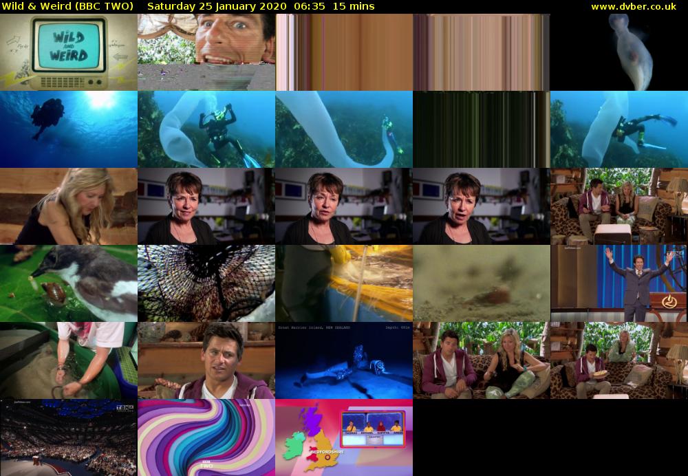 Wild & Weird (BBC TWO) Saturday 25 January 2020 06:35 - 06:50