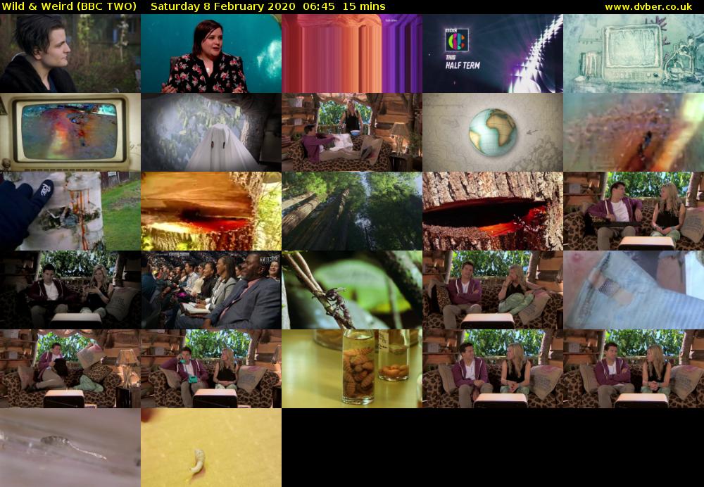 Wild & Weird (BBC TWO) Saturday 8 February 2020 06:45 - 07:00