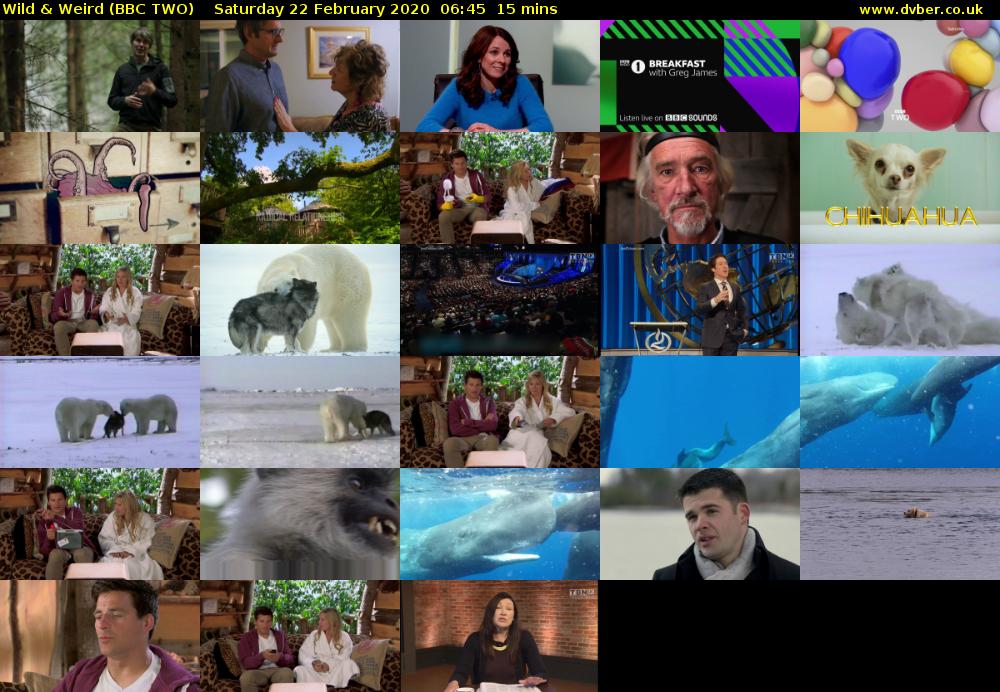 Wild & Weird (BBC TWO) Saturday 22 February 2020 06:45 - 07:00