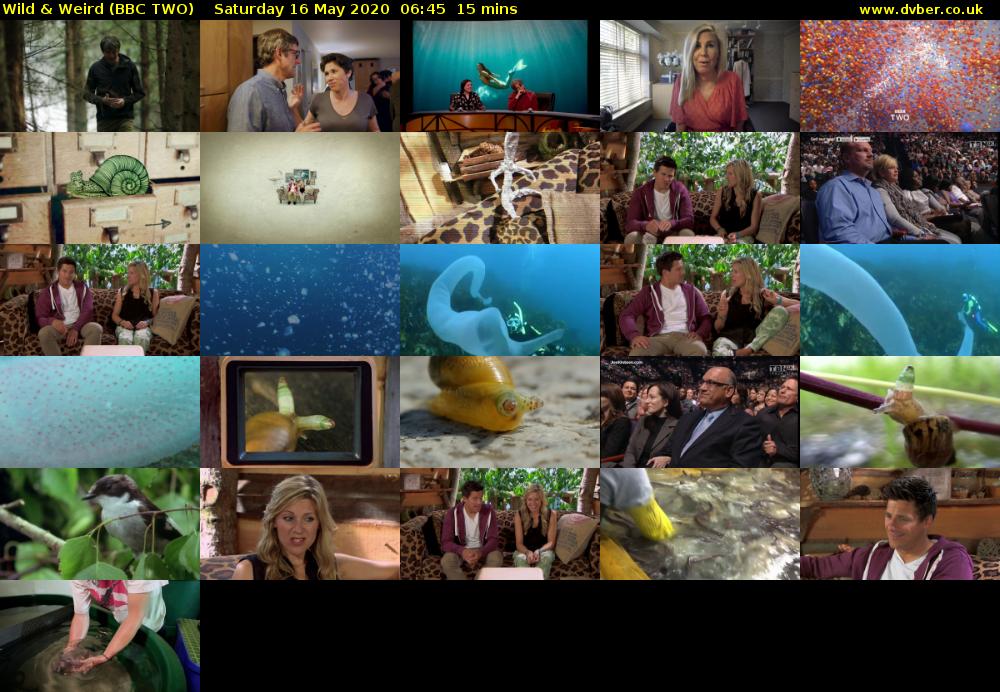 Wild & Weird (BBC TWO) Saturday 16 May 2020 06:45 - 07:00