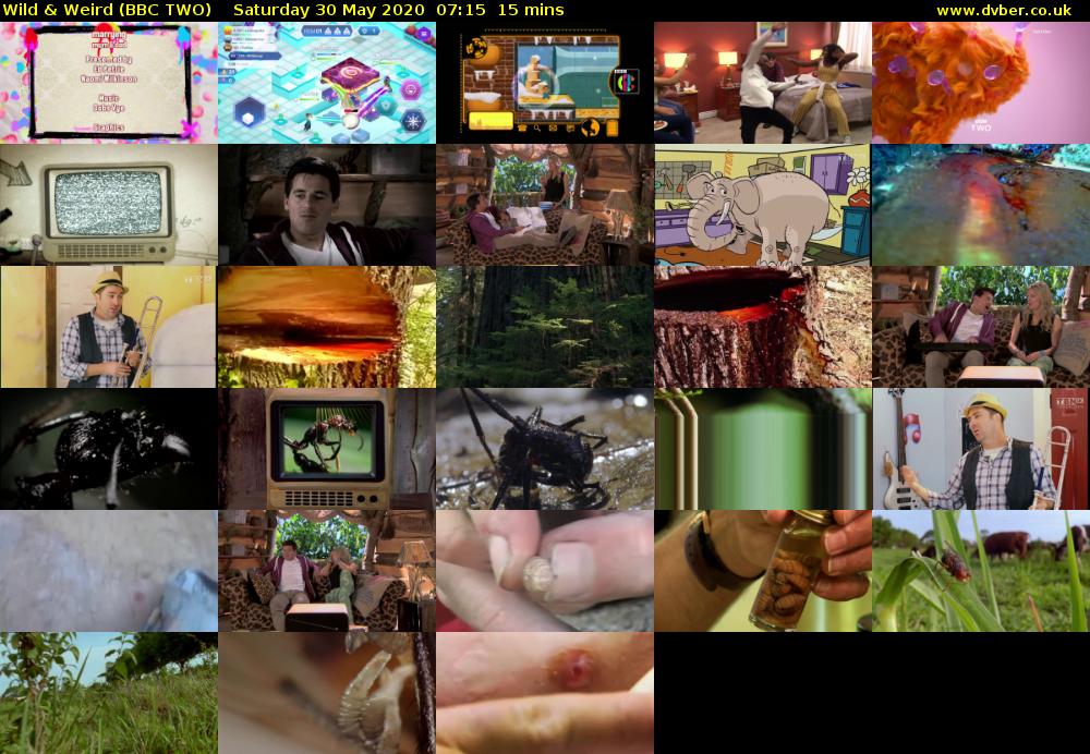 Wild & Weird (BBC TWO) Saturday 30 May 2020 07:15 - 07:30