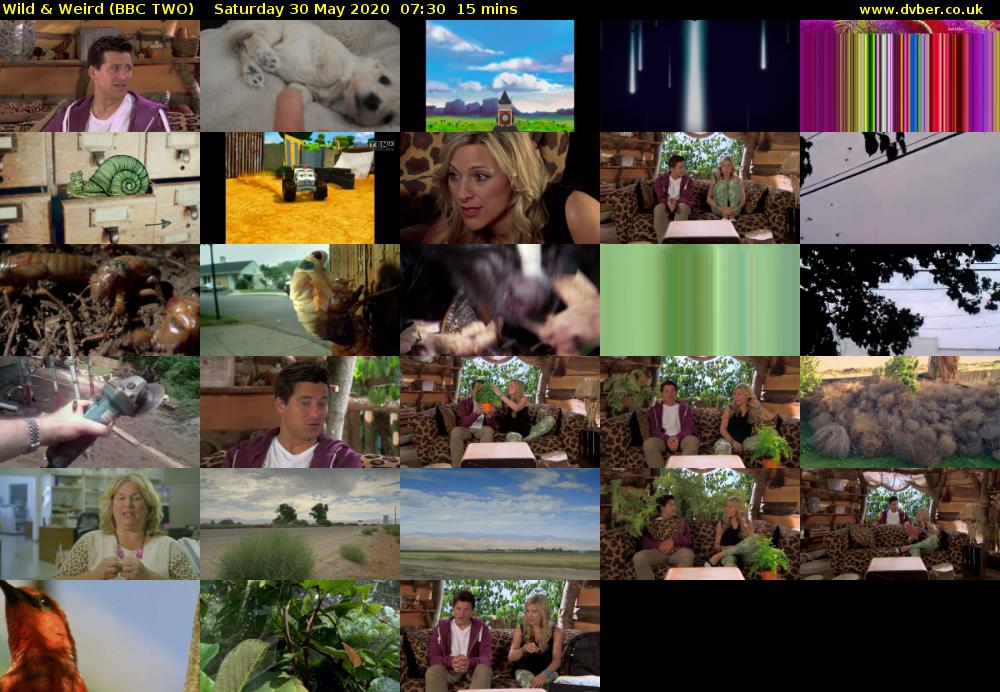 Wild & Weird (BBC TWO) Saturday 30 May 2020 07:30 - 07:45