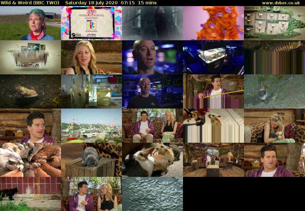 Wild & Weird (BBC TWO) Saturday 18 July 2020 07:15 - 07:30