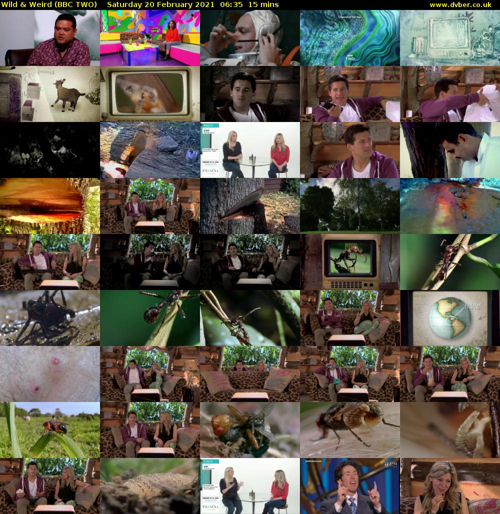 Wild & Weird (BBC TWO) Saturday 20 February 2021 06:35 - 06:50