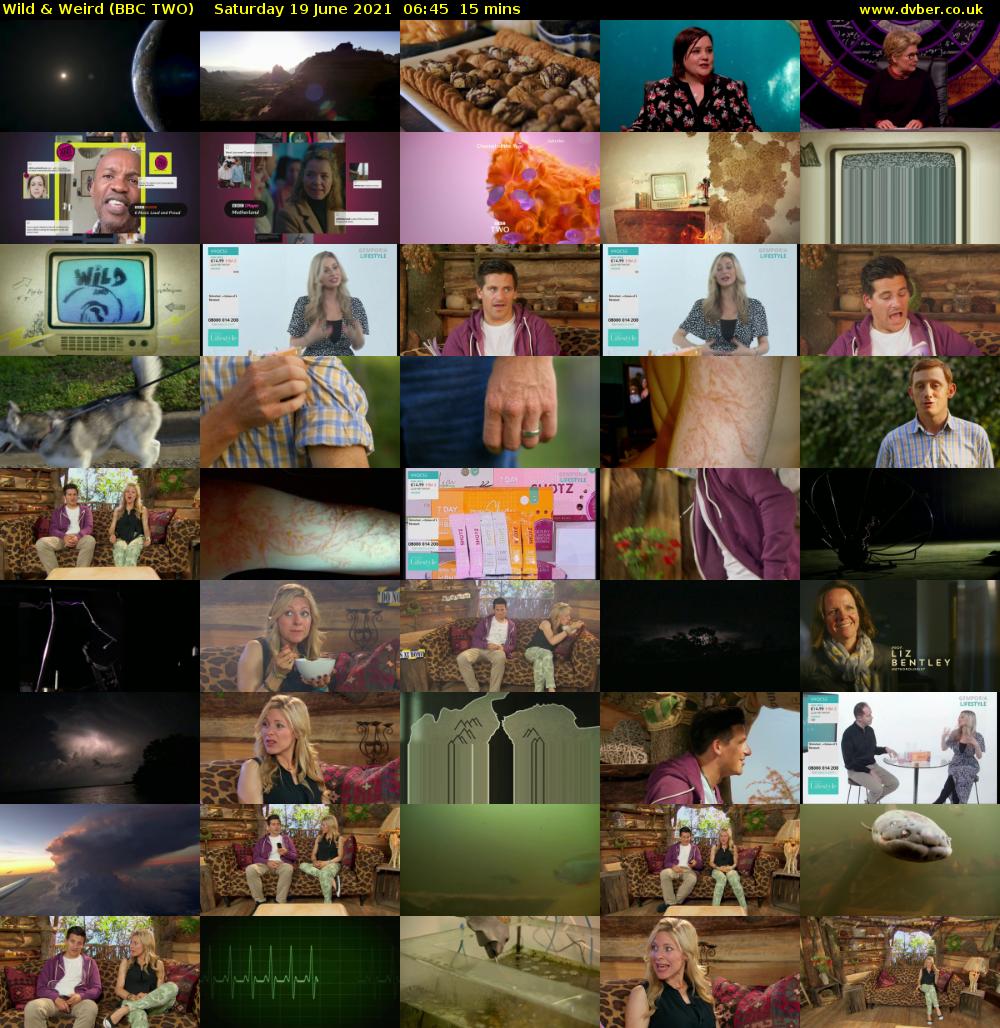 Wild & Weird (BBC TWO) Saturday 19 June 2021 06:45 - 07:00