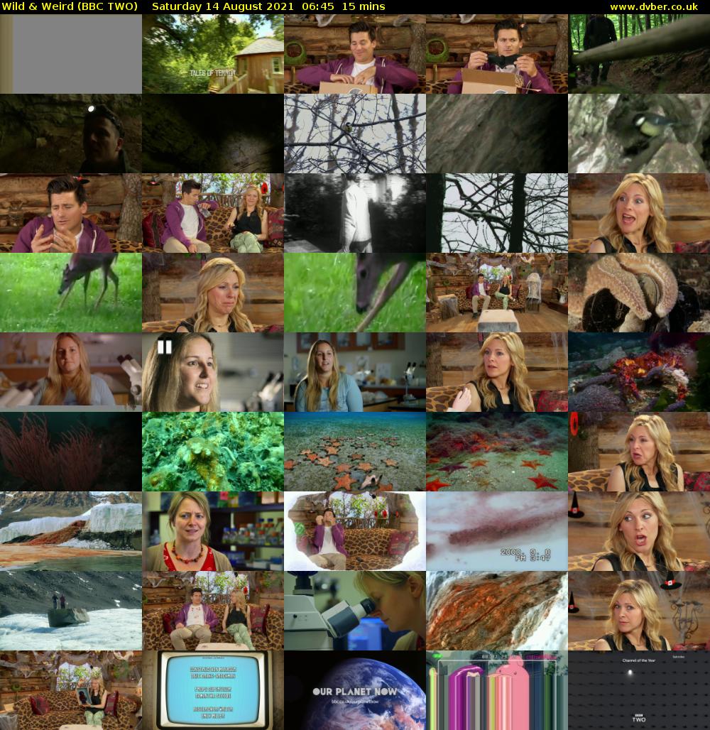 Wild & Weird (BBC TWO) Saturday 14 August 2021 06:45 - 07:00