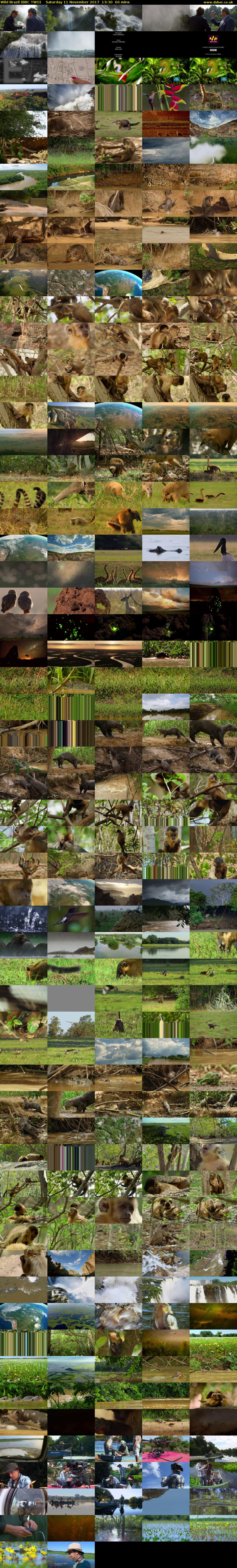 Wild Brazil (BBC TWO) Saturday 11 November 2017 13:30 - 14:30