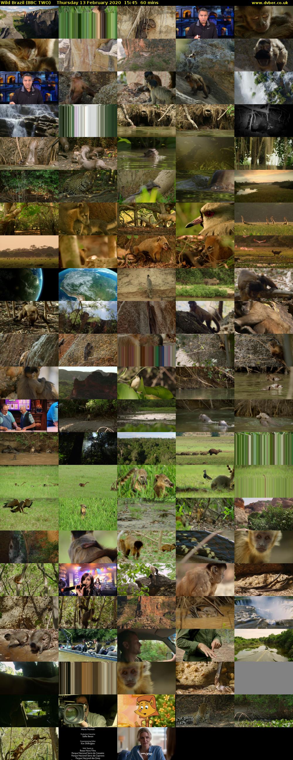 Wild Brazil (BBC TWO) Thursday 13 February 2020 15:45 - 16:45