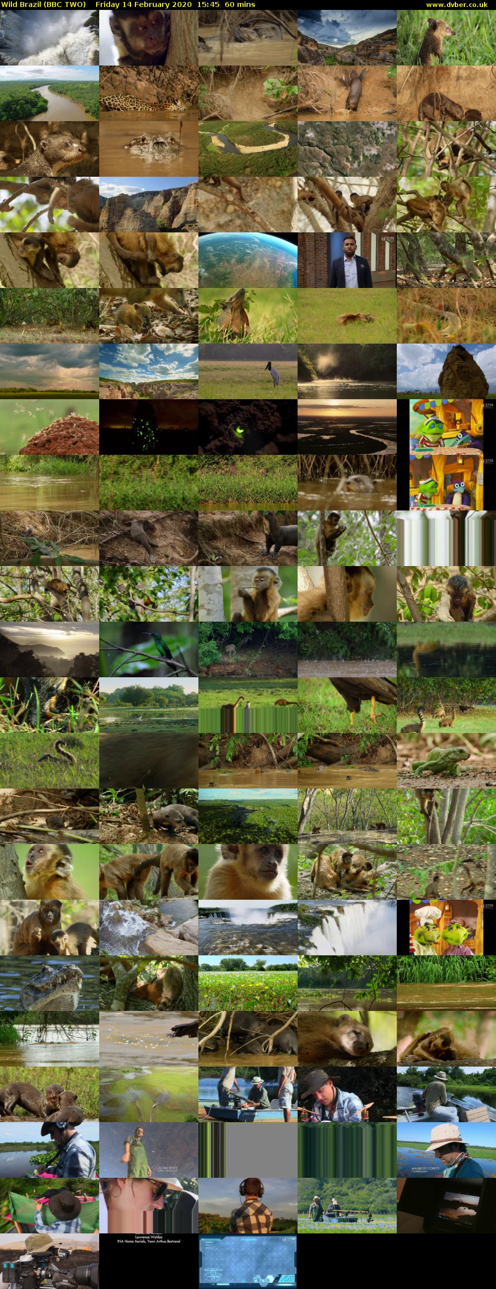 Wild Brazil (BBC TWO) Friday 14 February 2020 15:45 - 16:45