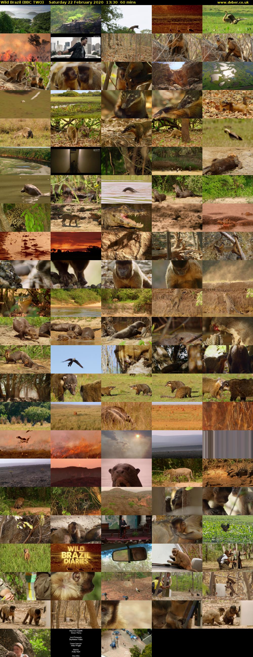 Wild Brazil (BBC TWO) Saturday 22 February 2020 13:30 - 14:30