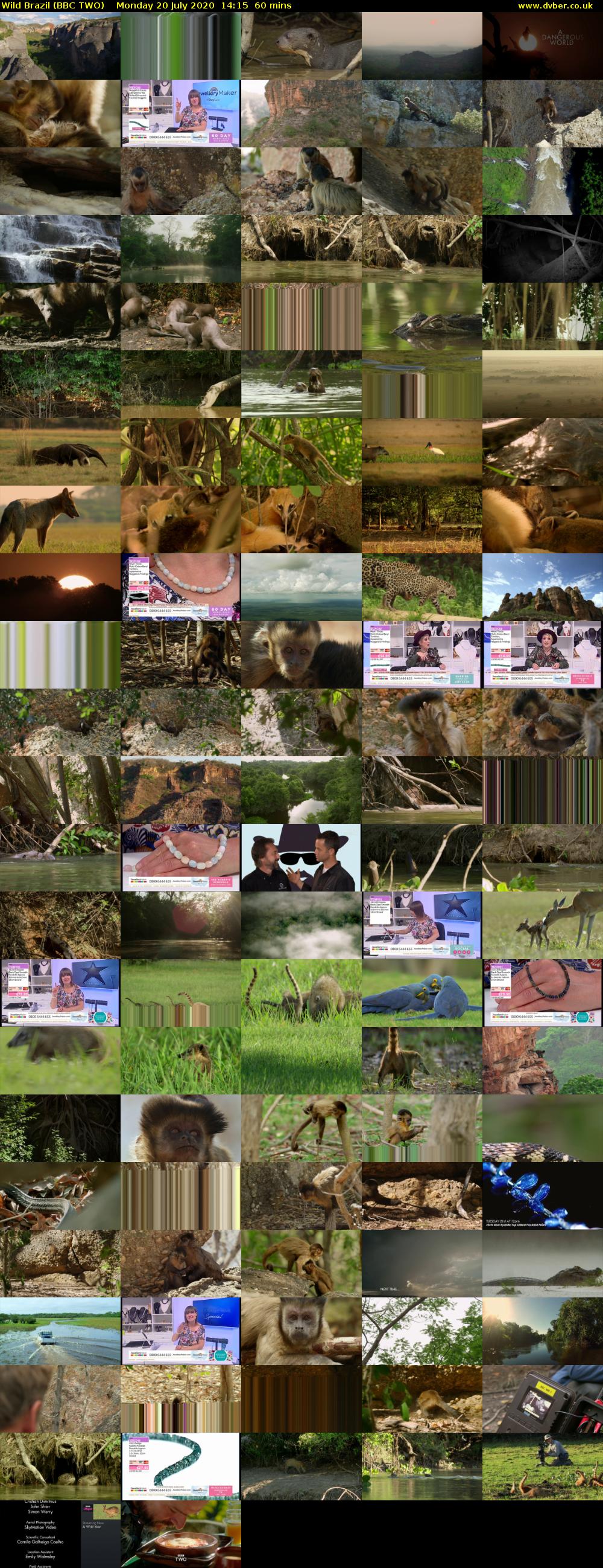 Wild Brazil (BBC TWO) Monday 20 July 2020 14:15 - 15:15
