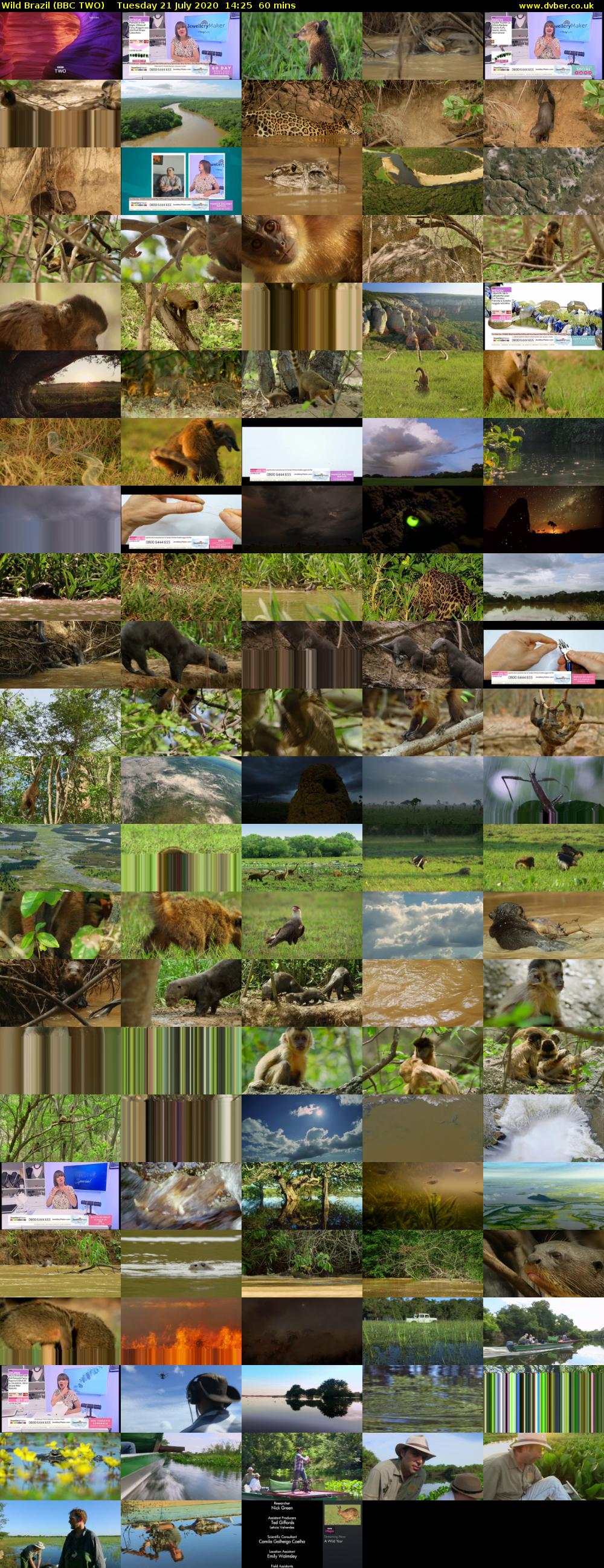 Wild Brazil (BBC TWO) Tuesday 21 July 2020 14:25 - 15:25