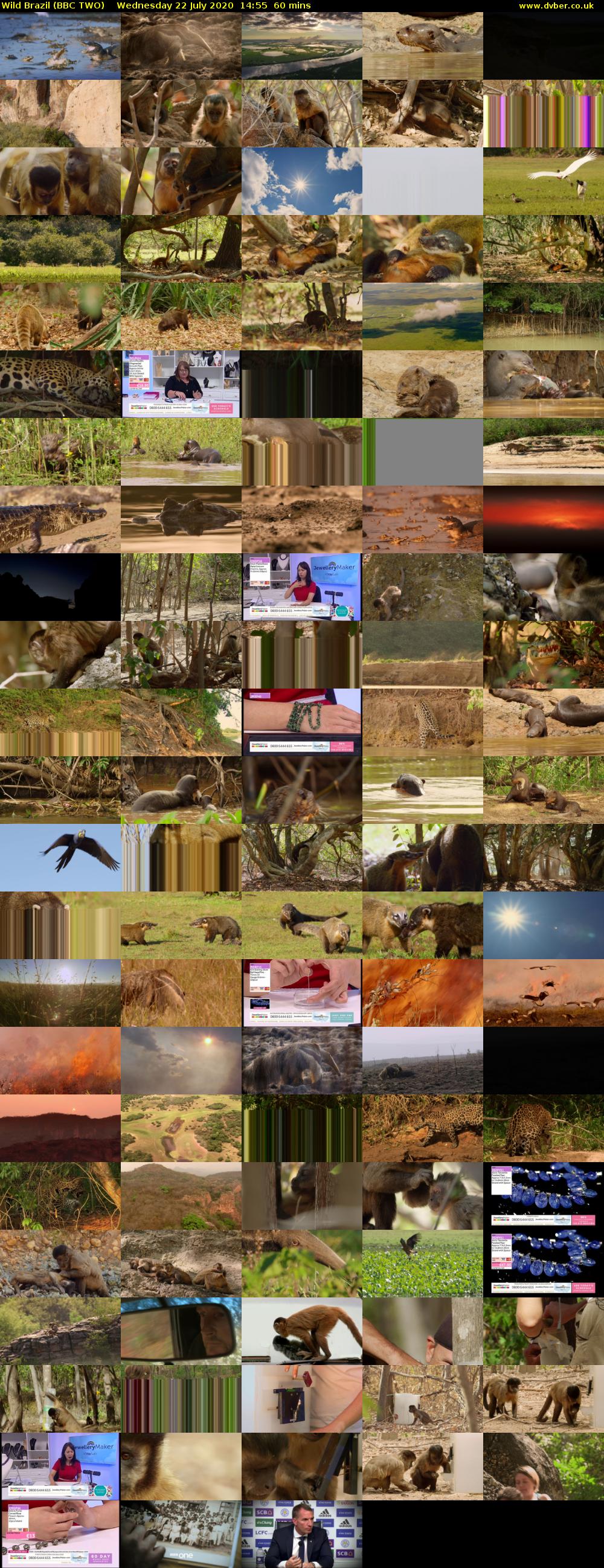 Wild Brazil (BBC TWO) Wednesday 22 July 2020 14:55 - 15:55