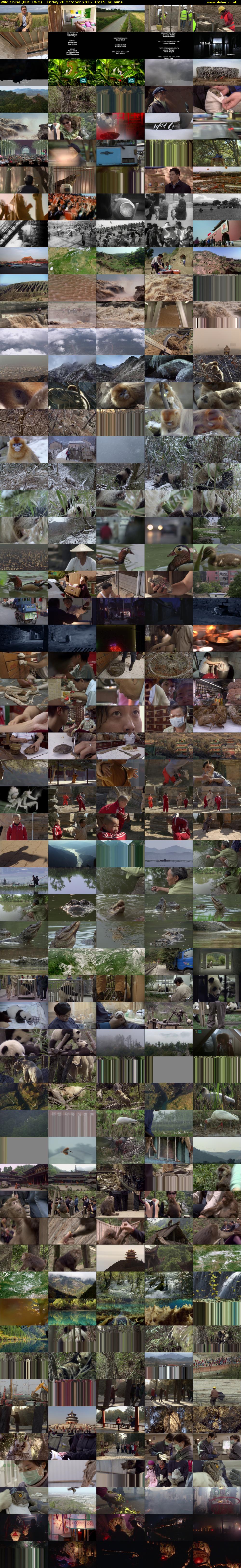 Wild China (BBC TWO) Friday 28 October 2016 16:15 - 17:15