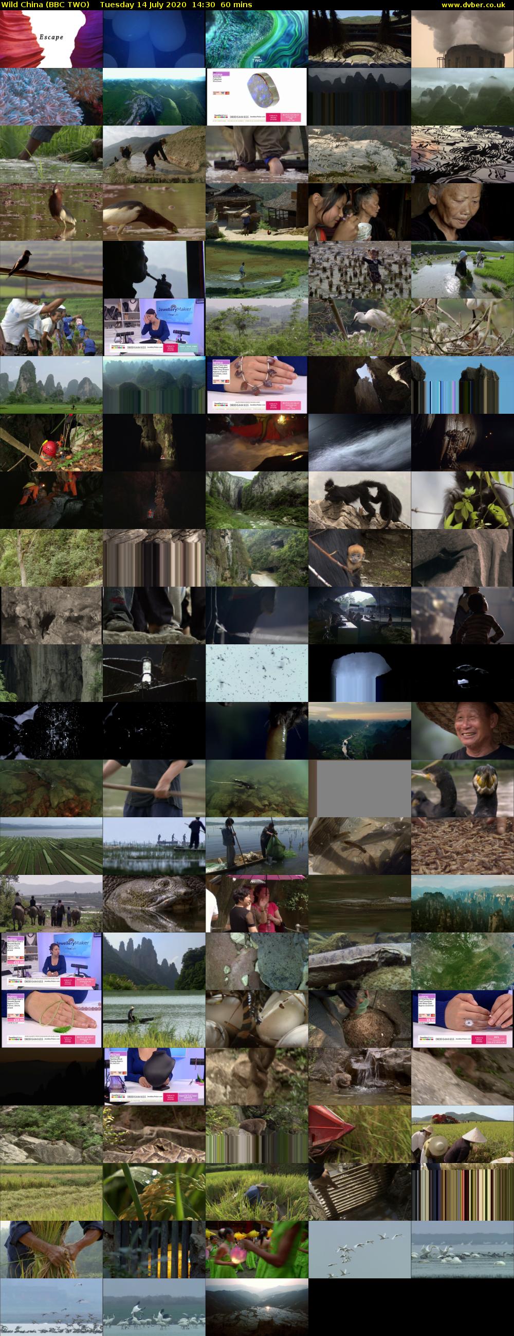Wild China (BBC TWO) Tuesday 14 July 2020 14:30 - 15:30