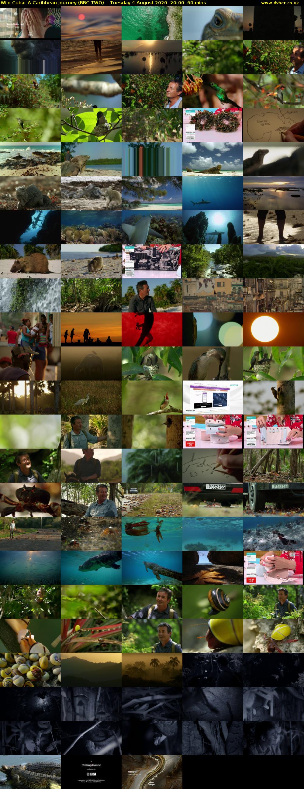 Wild Cuba: A Caribbean Journey (BBC TWO) Tuesday 4 August 2020 20:00 - 21:00