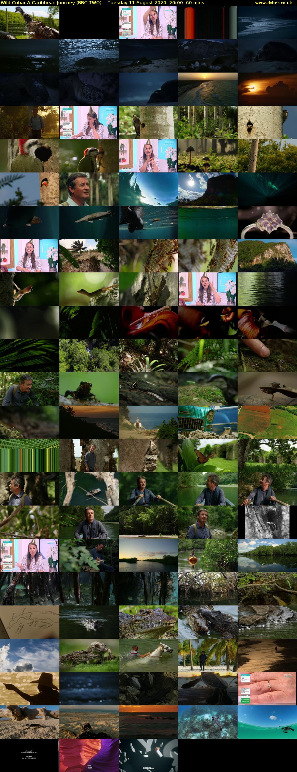 Wild Cuba: A Caribbean Journey (BBC TWO) Tuesday 11 August 2020 20:00 - 21:00