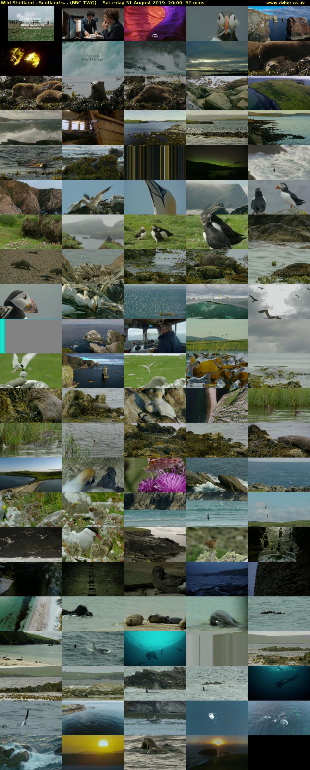 Wild Shetland - Scotlands... (BBC TWO) Saturday 31 August 2019 20:00 - 21:00