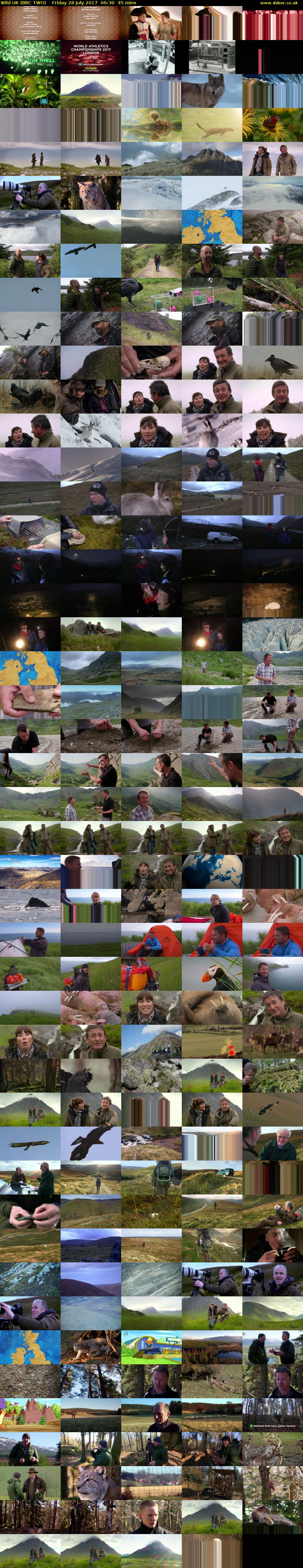 Wild UK (BBC TWO) Friday 28 July 2017 06:30 - 07:15