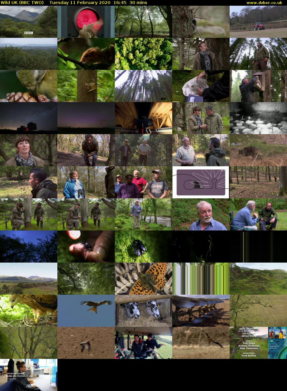 Wild UK (BBC TWO) Tuesday 11 February 2020 16:45 - 17:15
