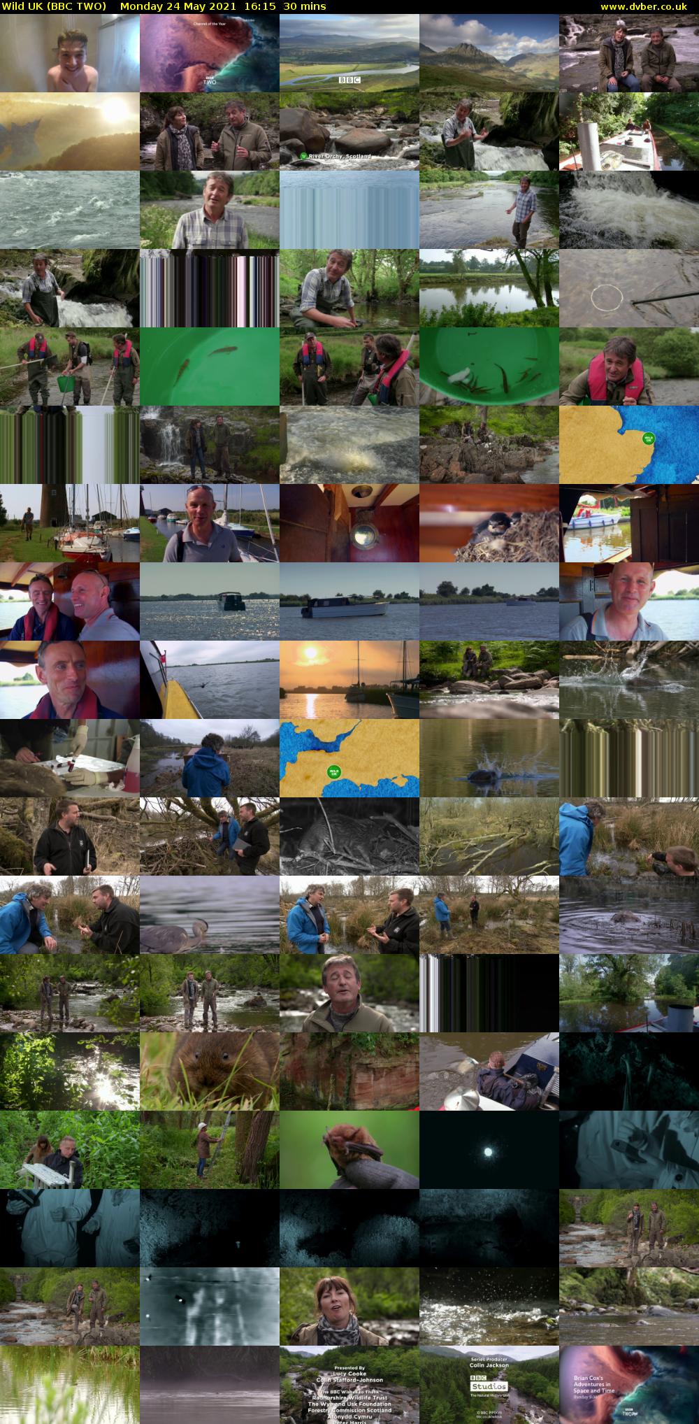 Wild UK (BBC TWO) Monday 24 May 2021 16:15 - 16:45