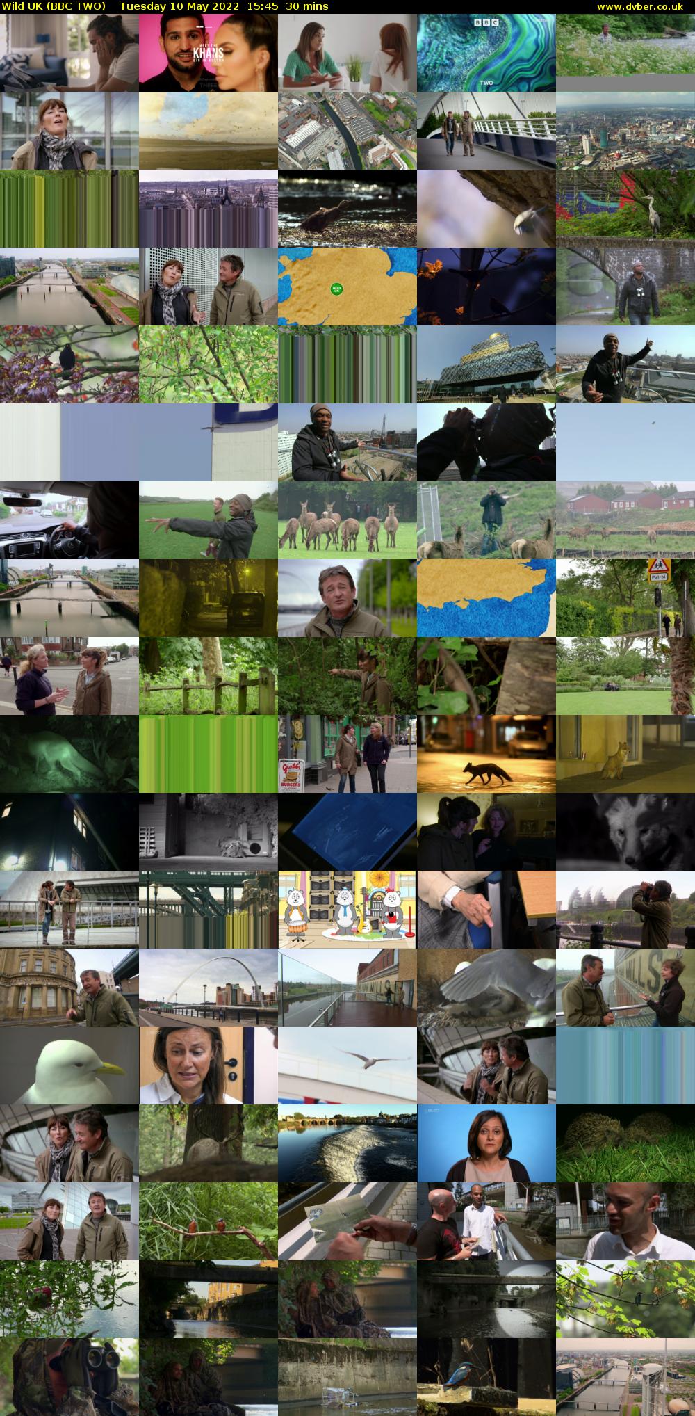 Wild UK (BBC TWO) Tuesday 10 May 2022 15:45 - 16:15