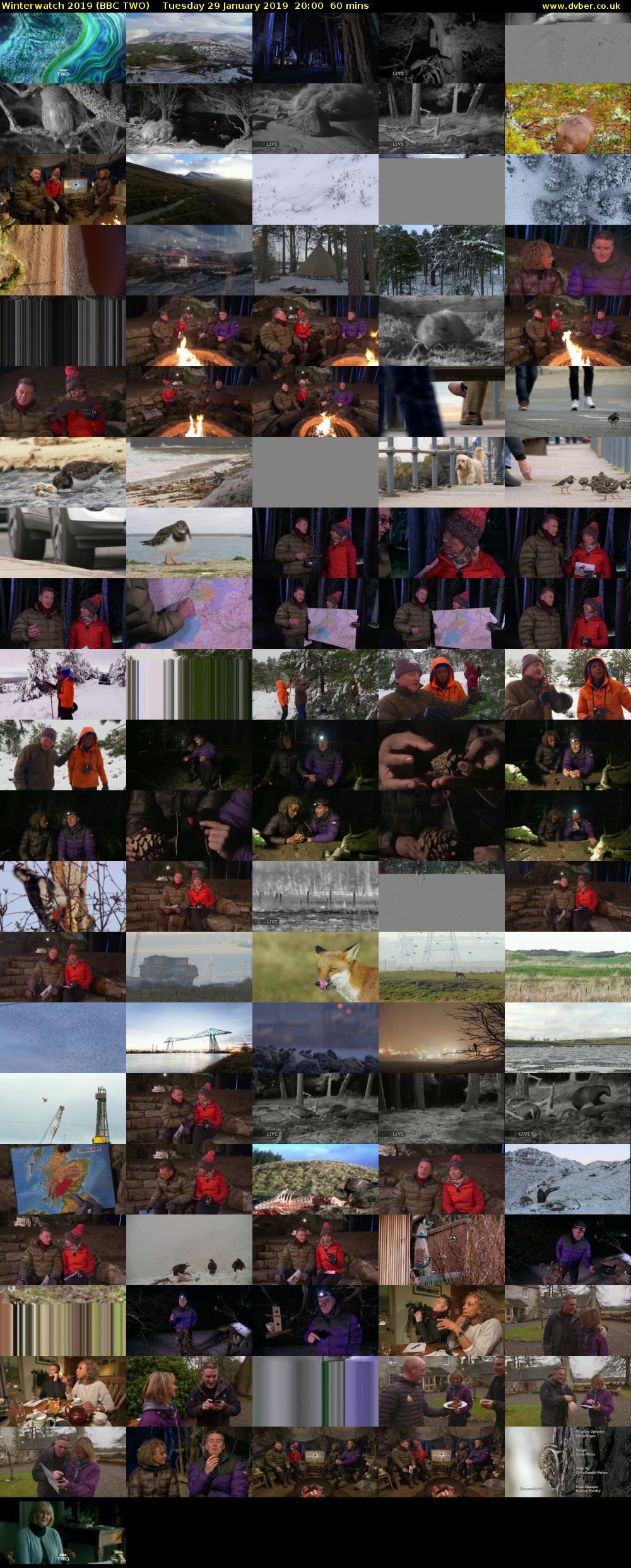 Winterwatch 2019 (BBC TWO) Tuesday 29 January 2019 20:00 - 21:00