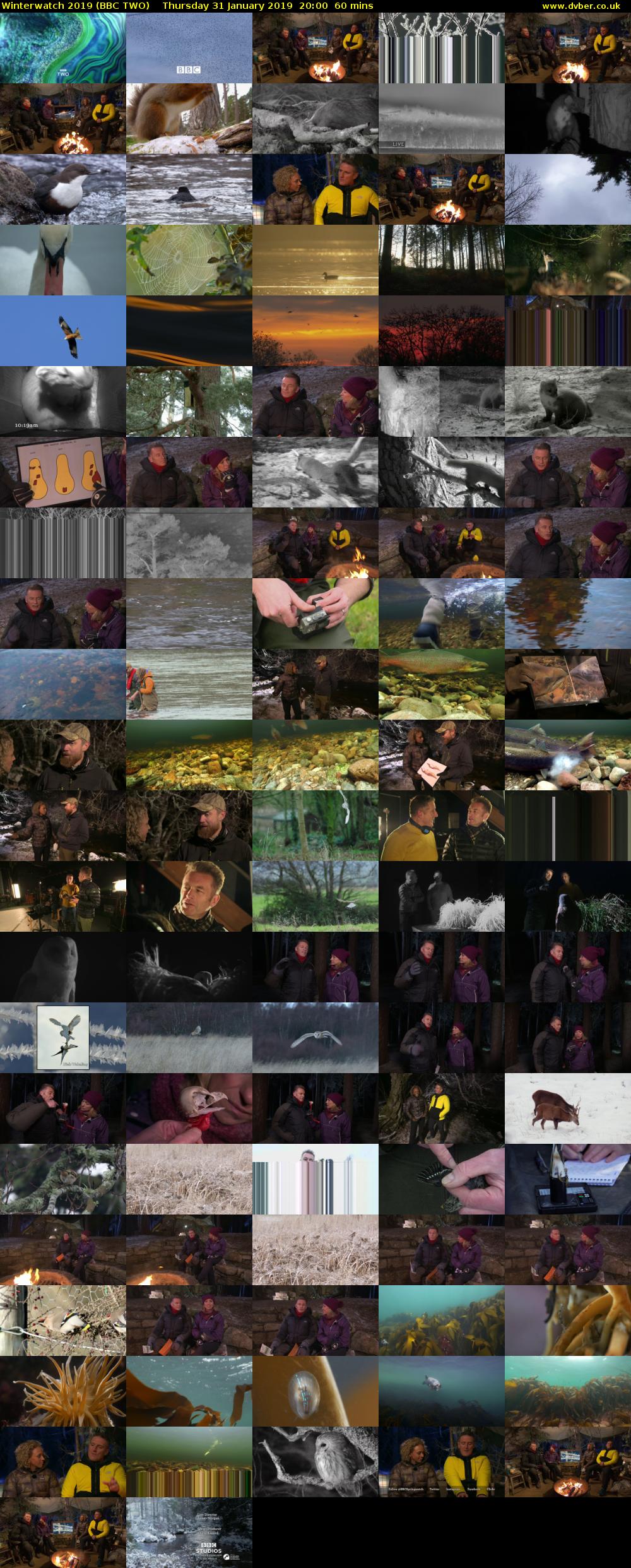 Winterwatch 2019 (BBC TWO) Thursday 31 January 2019 20:00 - 21:00