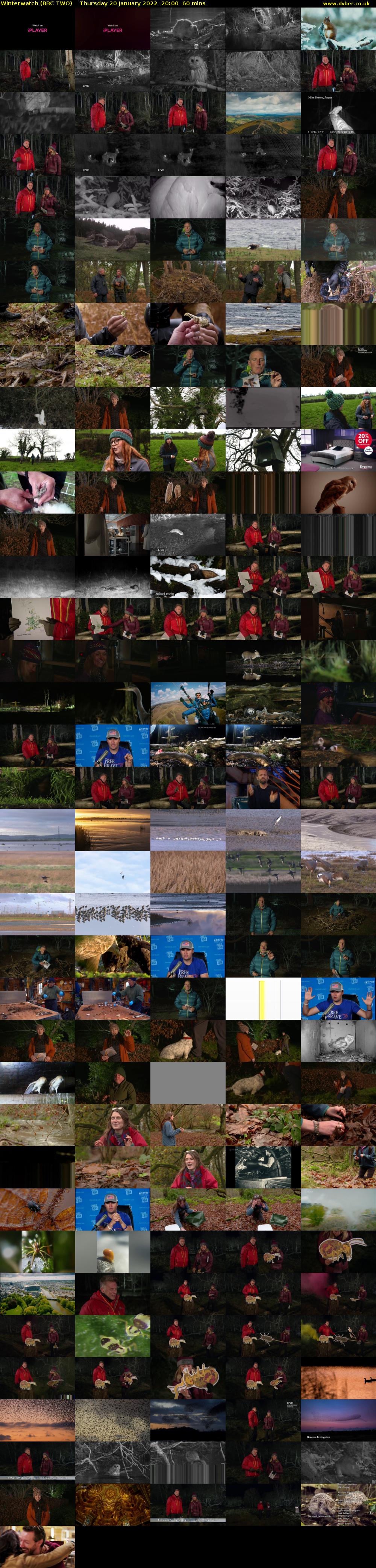 Winterwatch (BBC TWO) Thursday 20 January 2022 20:00 - 21:00