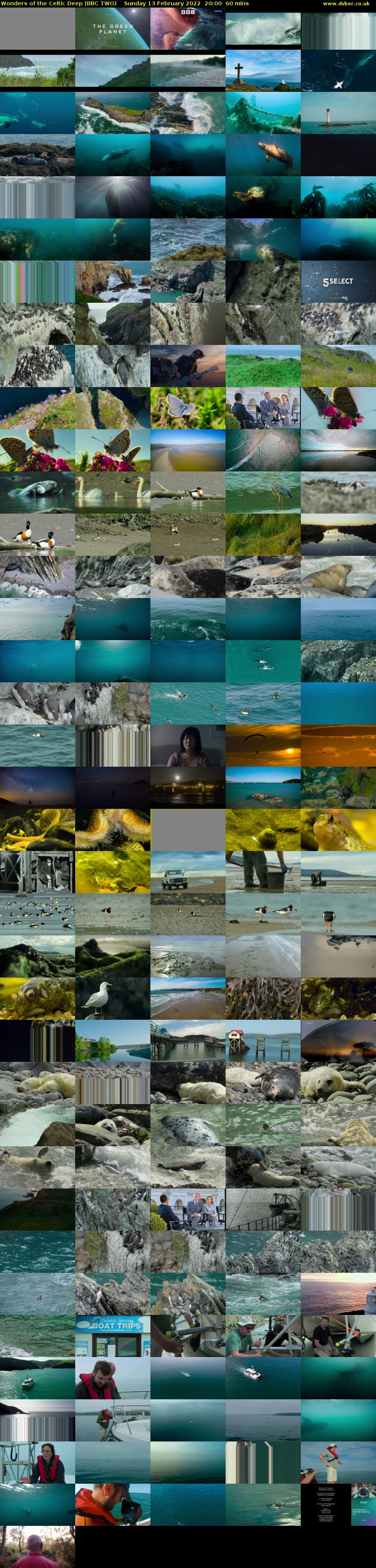 Wonders of the Celtic Deep (BBC TWO) Sunday 13 February 2022 20:00 - 21:00