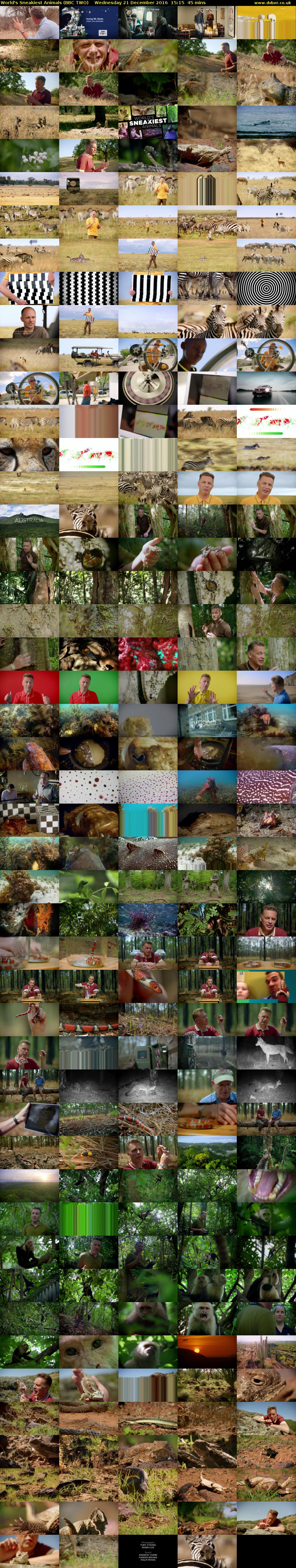 World's Sneakiest Animals (BBC TWO) Wednesday 21 December 2016 15:15 - 16:00