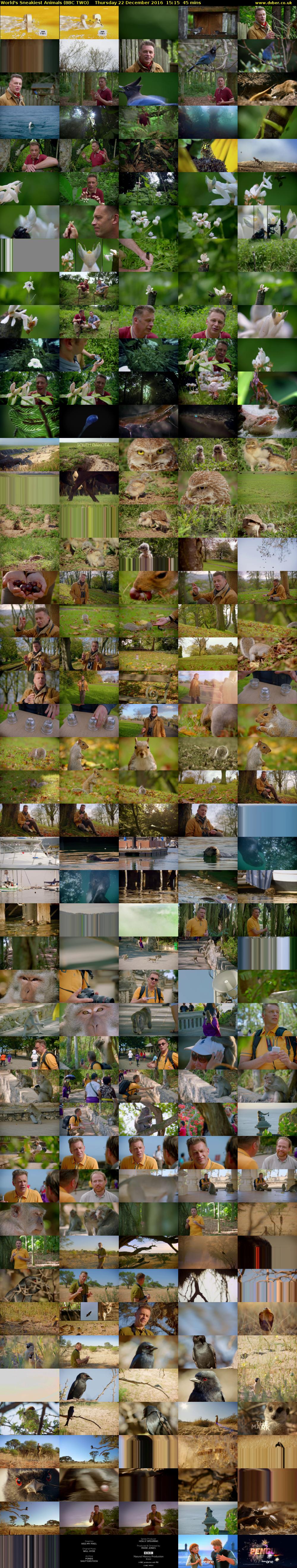 World's Sneakiest Animals (BBC TWO) Thursday 22 December 2016 15:15 - 16:00