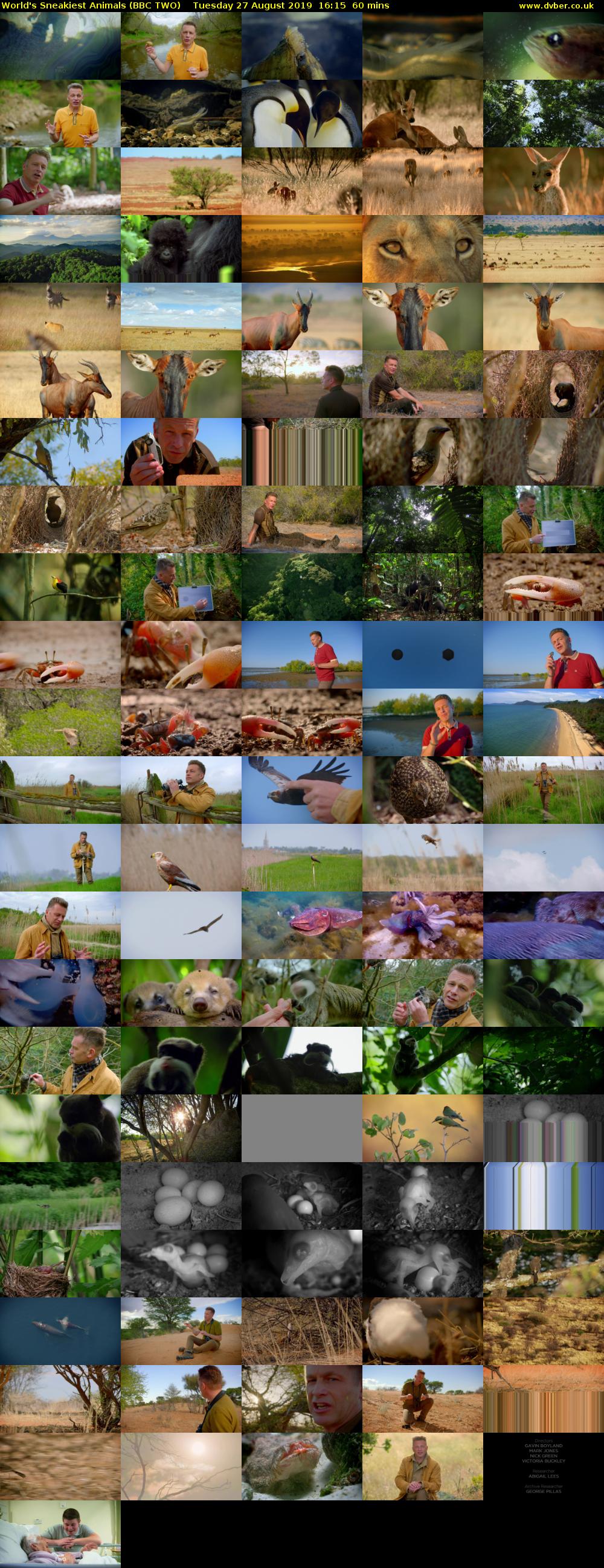World's Sneakiest Animals (BBC TWO) Tuesday 27 August 2019 16:15 - 17:15