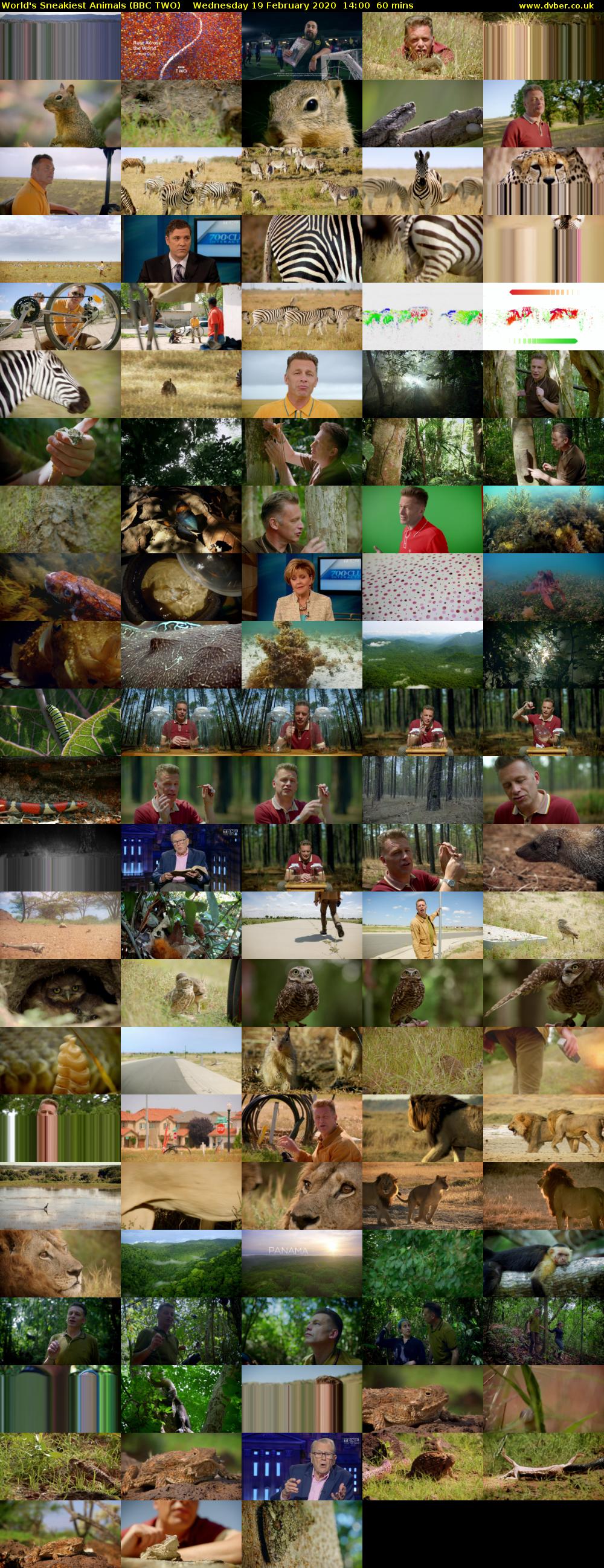 World's Sneakiest Animals (BBC TWO) Wednesday 19 February 2020 14:00 - 15:00