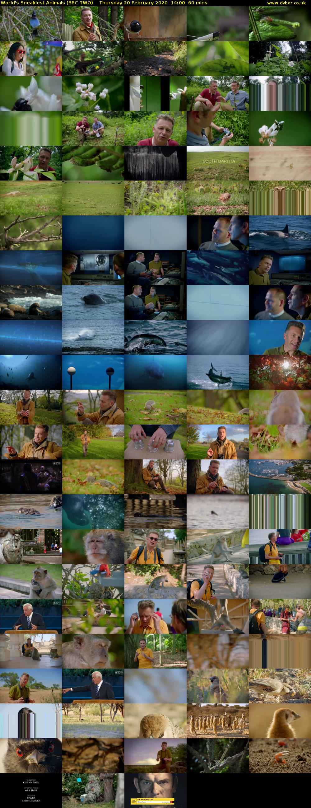 World's Sneakiest Animals (BBC TWO) Thursday 20 February 2020 14:00 - 15:00