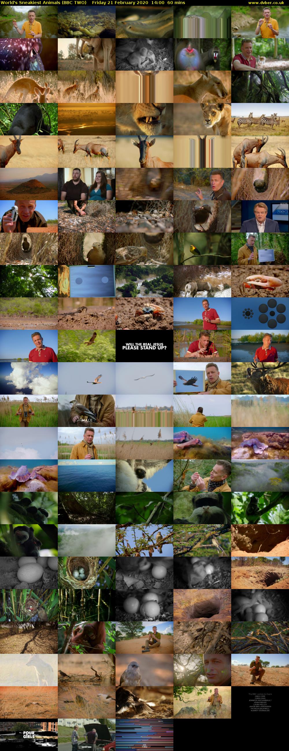 World's Sneakiest Animals (BBC TWO) Friday 21 February 2020 14:00 - 15:00