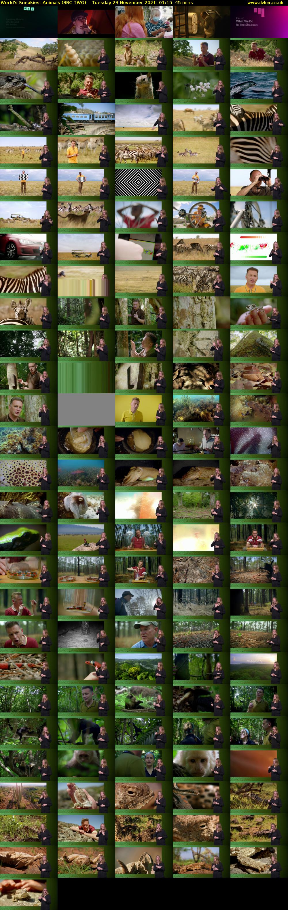 World's Sneakiest Animals (BBC TWO) Tuesday 23 November 2021 01:15 - 02:00
