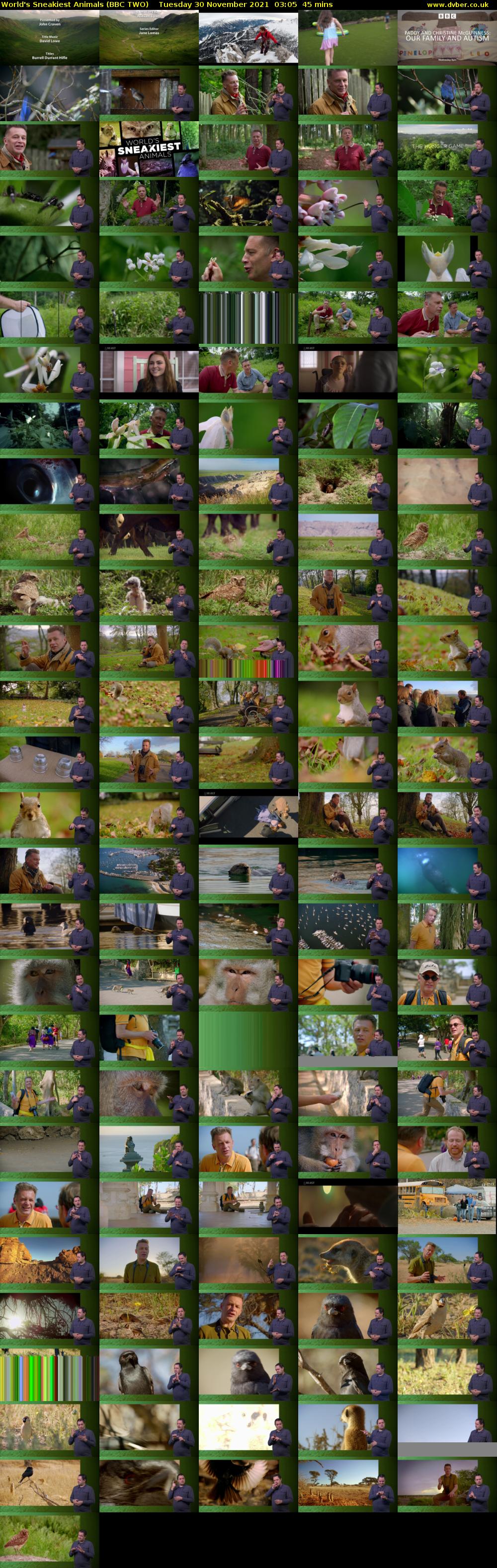 World's Sneakiest Animals (BBC TWO) Tuesday 30 November 2021 03:05 - 03:50