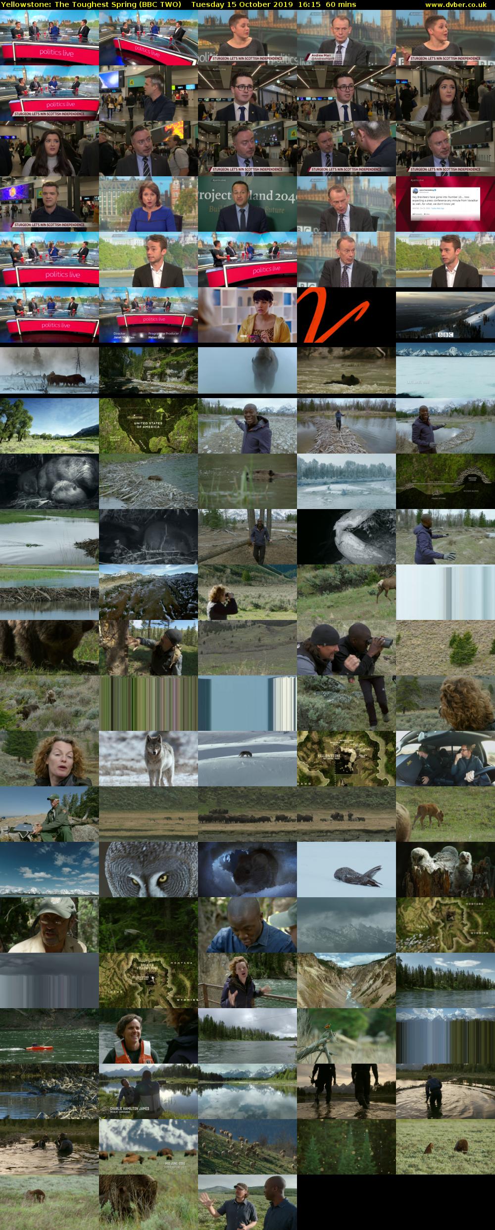 Yellowstone: The Toughest Spring (BBC TWO) Tuesday 15 October 2019 16:15 - 17:15