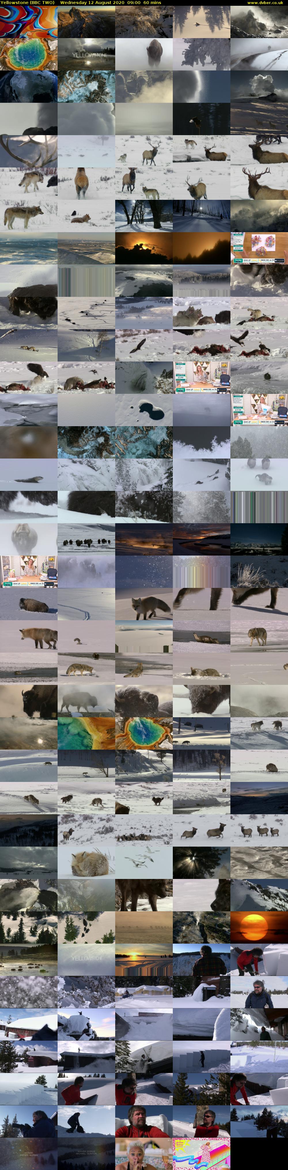 Yellowstone (BBC TWO) Wednesday 12 August 2020 09:00 - 10:00