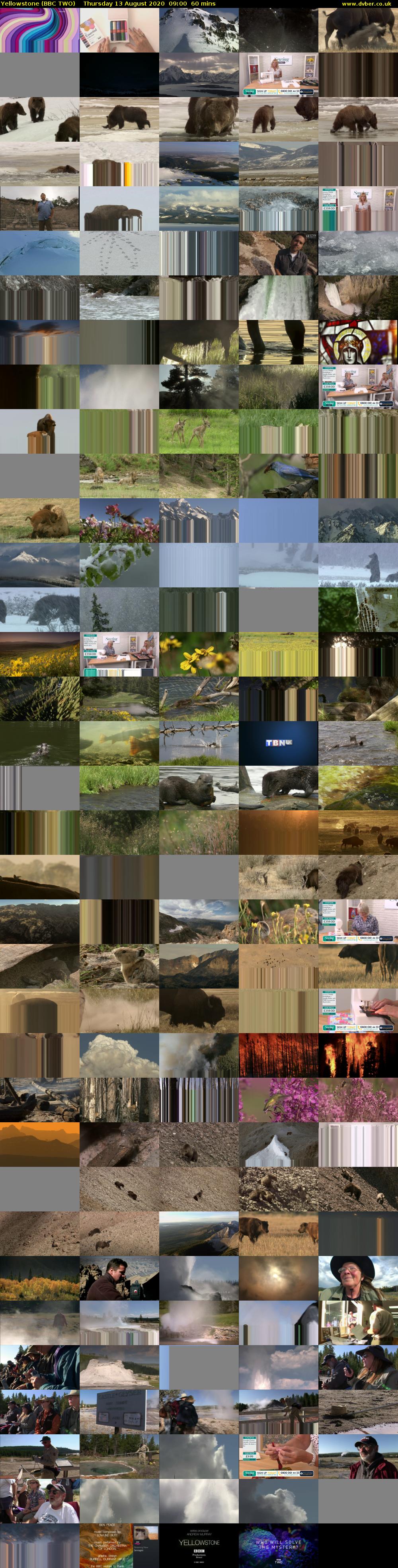 Yellowstone (BBC TWO) Thursday 13 August 2020 09:00 - 10:00