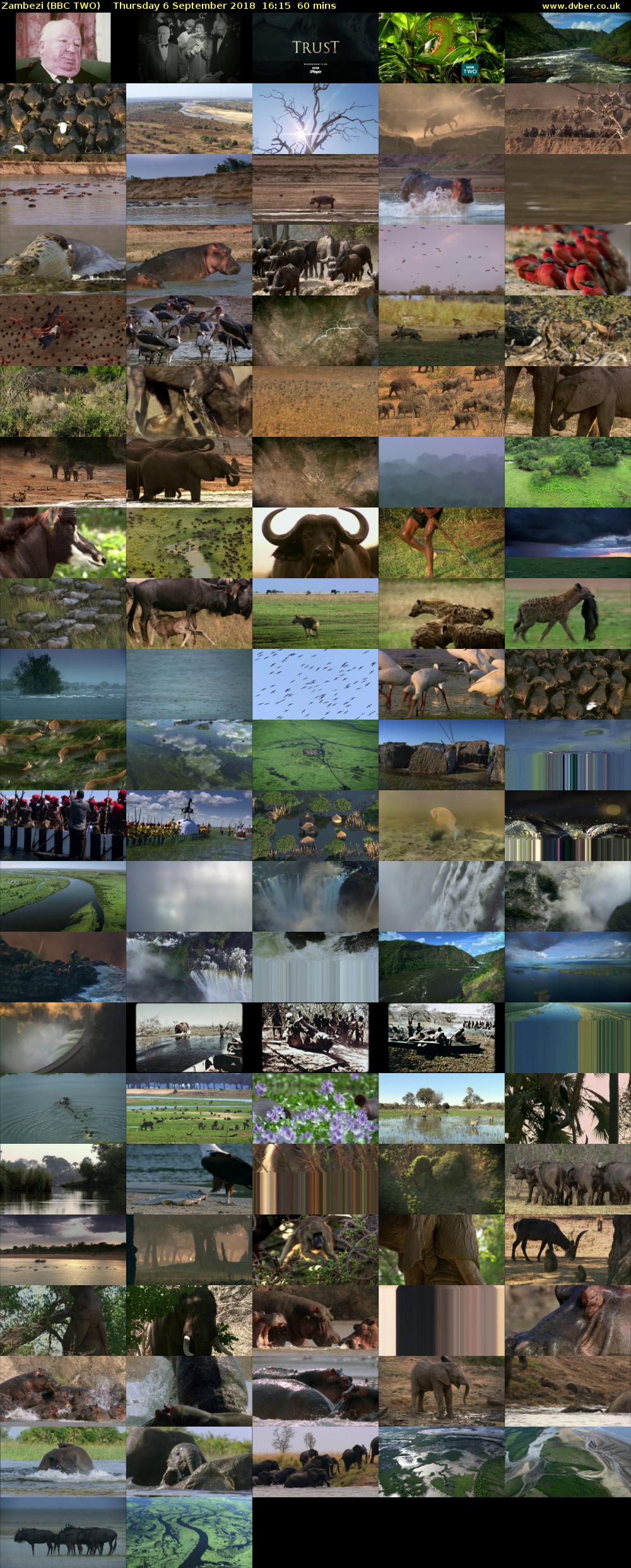 Zambezi (BBC TWO) Thursday 6 September 2018 16:15 - 17:15