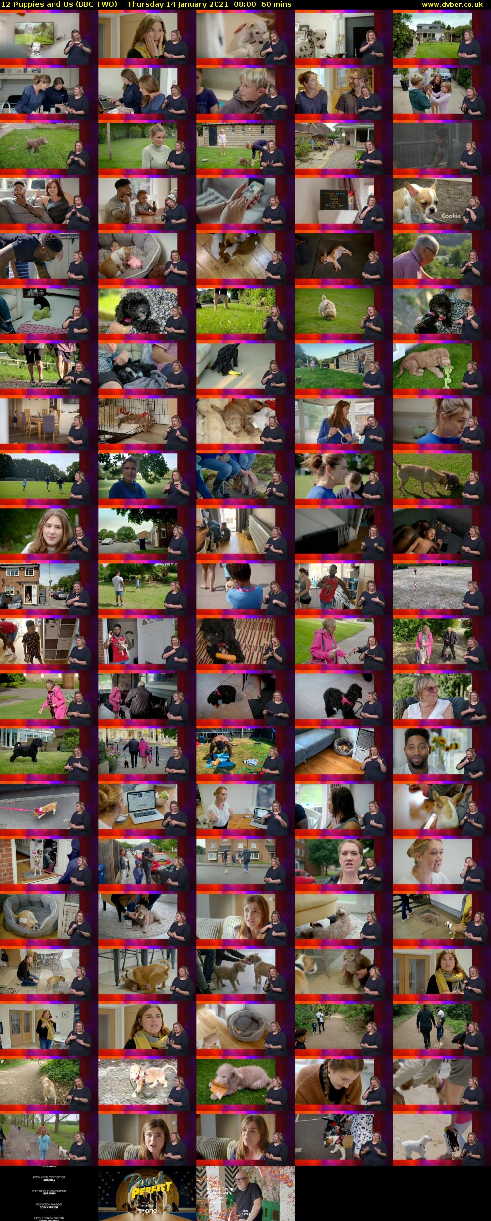 12 Puppies and Us (BBC TWO) Thursday 14 January 2021 08:00 - 09:00