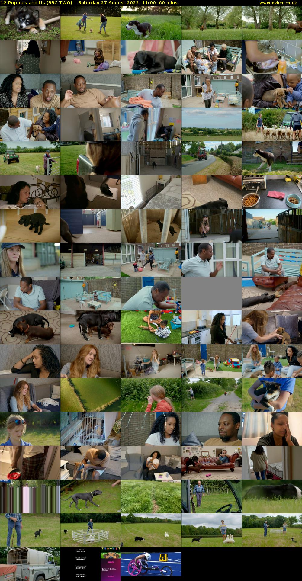 12 Puppies and Us (BBC TWO) Saturday 27 August 2022 11:00 - 12:00