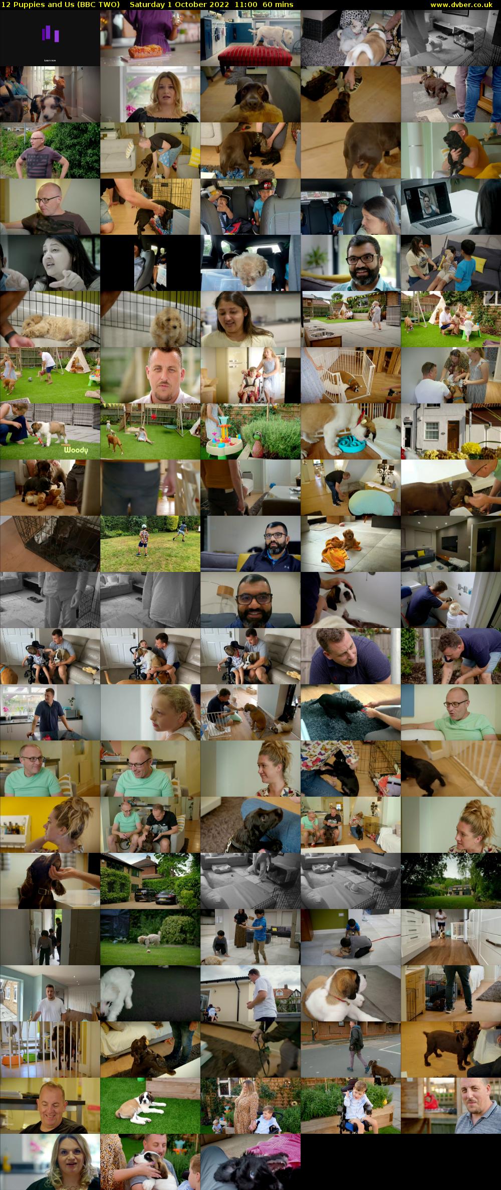 12 Puppies and Us (BBC TWO) Saturday 1 October 2022 11:00 - 12:00