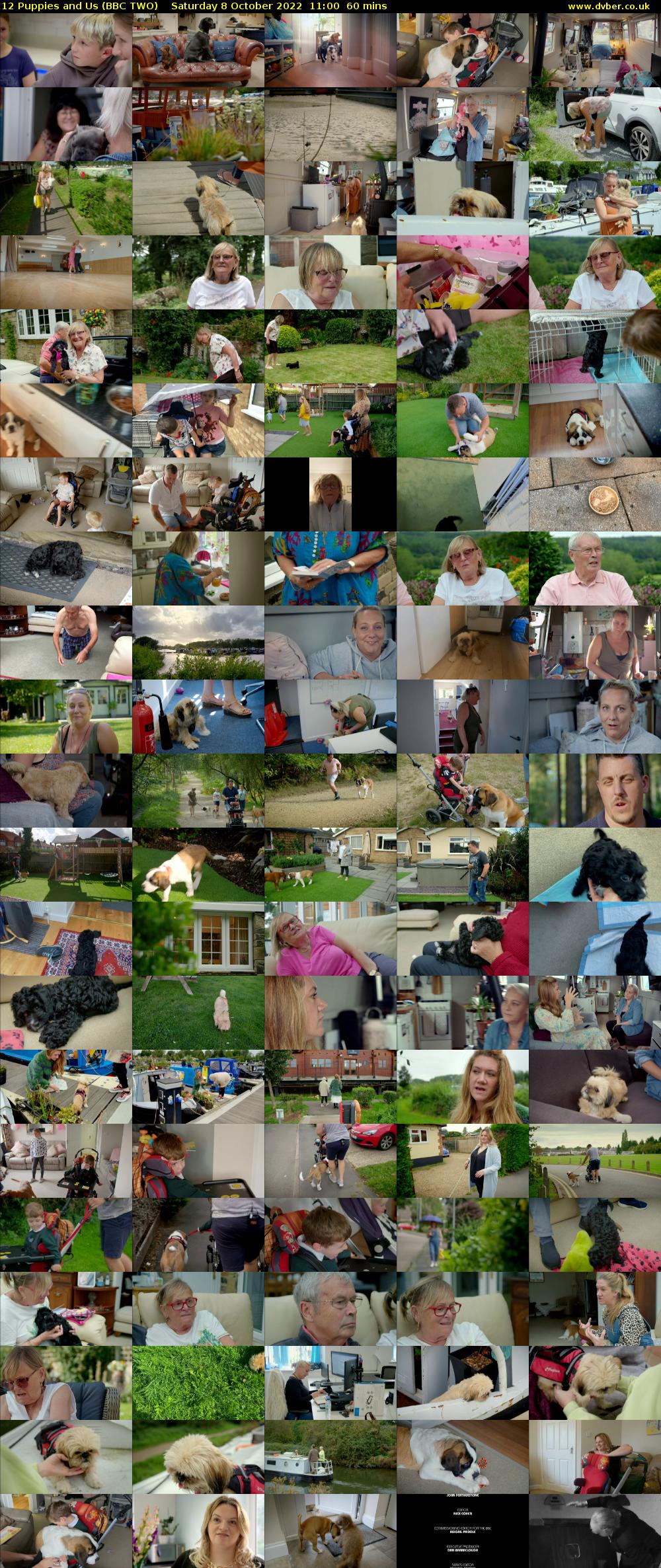 12 Puppies and Us (BBC TWO) Saturday 8 October 2022 11:00 - 12:00