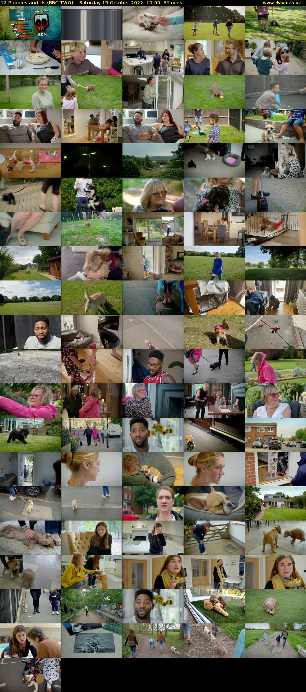 12 Puppies and Us (BBC TWO) Saturday 15 October 2022 10:00 - 11:00