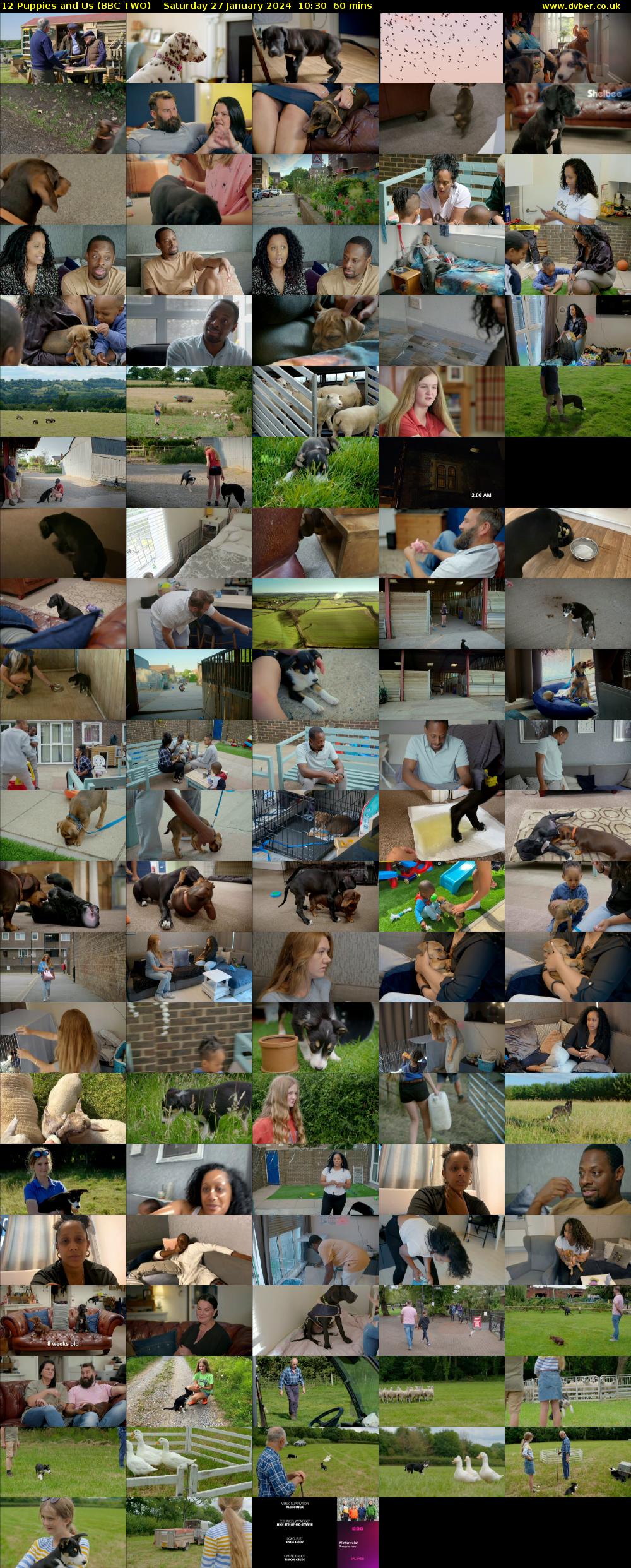 12 Puppies and Us (BBC TWO) Saturday 27 January 2024 10:30 - 11:30